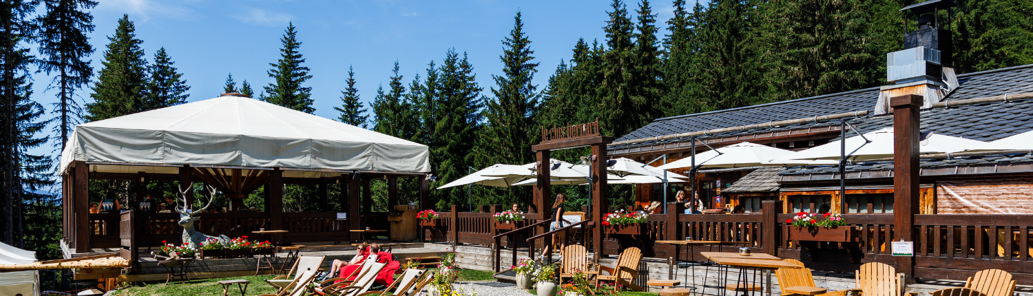 Terrasse Terrace