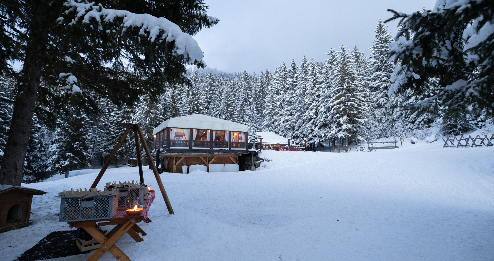 Les sapins et la neige Les sapins et la neige
