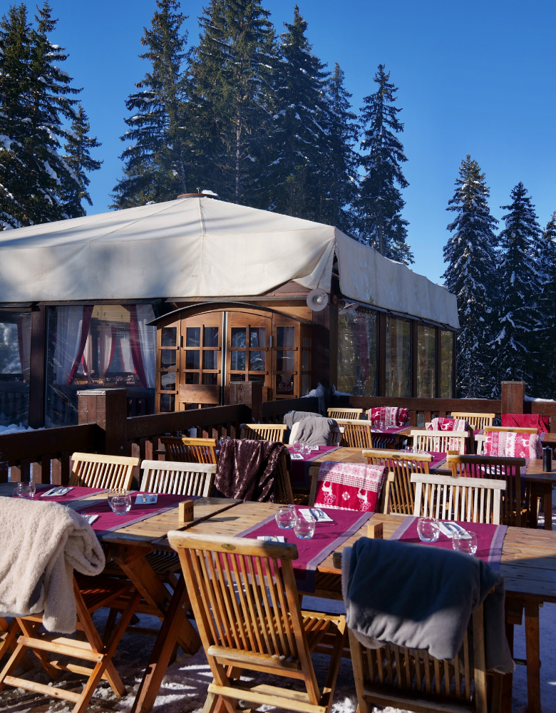 salle des pins et terrasse Salle des pins et terrasse