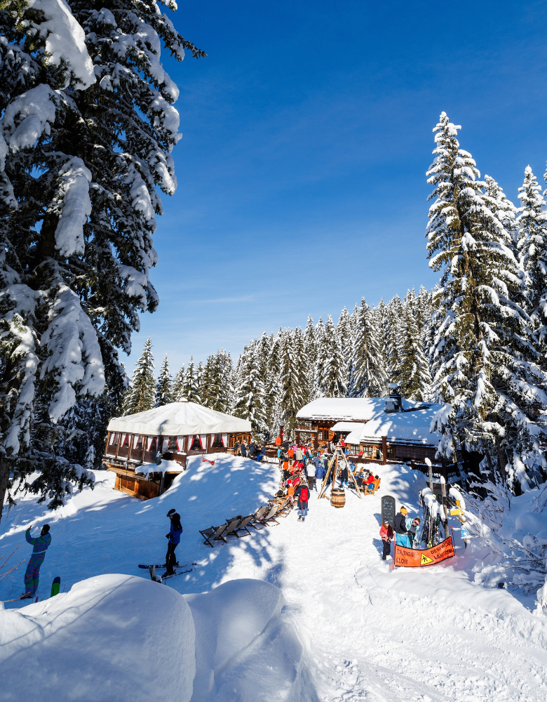 vue piste Vue piste